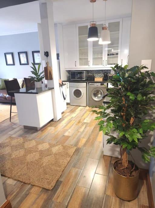 Cape Town, Sea Point, Beautiful 2 Bedroom Apartment @Tucked Away Exteriör bild